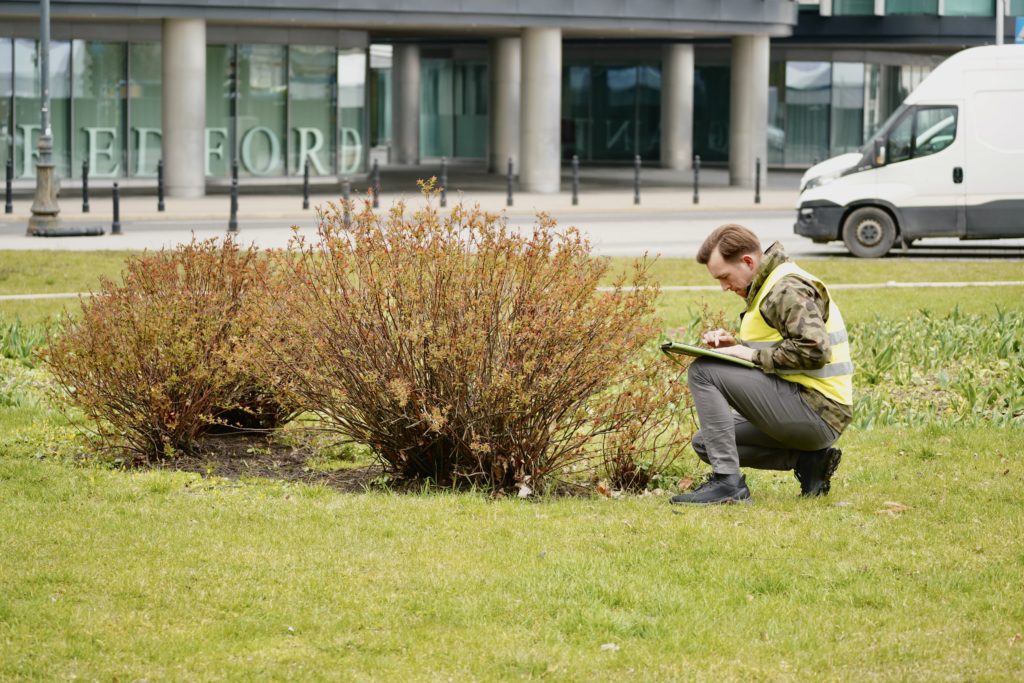 Mężczyzna w kamizelce odblaskowej kuca przy krzewach na trawie, zapisując notatki z badań dendrologicznych. W tle fragment ulicy za trawnikiem i parter nowoczesnego, przeszklonego budynku.