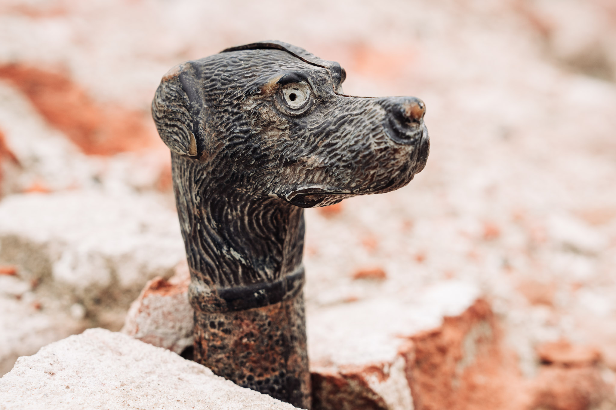 Wykonana z tworzywa sztucznego rękojeść laski w kształcie głowy psa łowczego na tle pozostałości ceglanych murów Pałacu Saskiego.