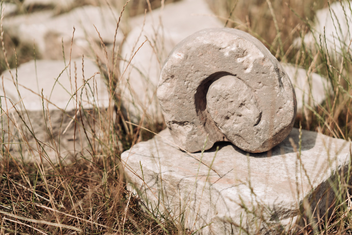 Kamienne fragmenty rozstawione w trawie. Na jednym płaskim elemencie postawiony jest drugi kamienny w kształcie muszli ślimaka.