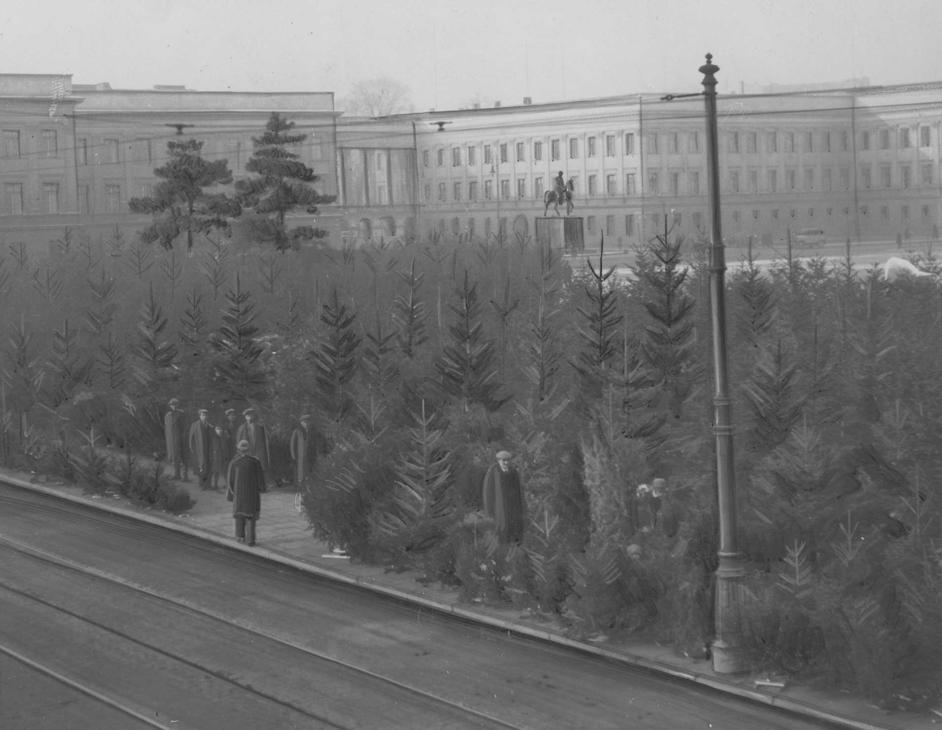 Na pierwszym planie fragment ulicy Królewskiej, na chodniku rzędy różnej wysokości choinek, wśród których widoczne są sylwetki kilku osób. Po prawej stronie widoczny słup. W tle Pałac Saski oraz stojący przed nim pomnik księcia Poniatowskiego. Rysunek czarnobiały.